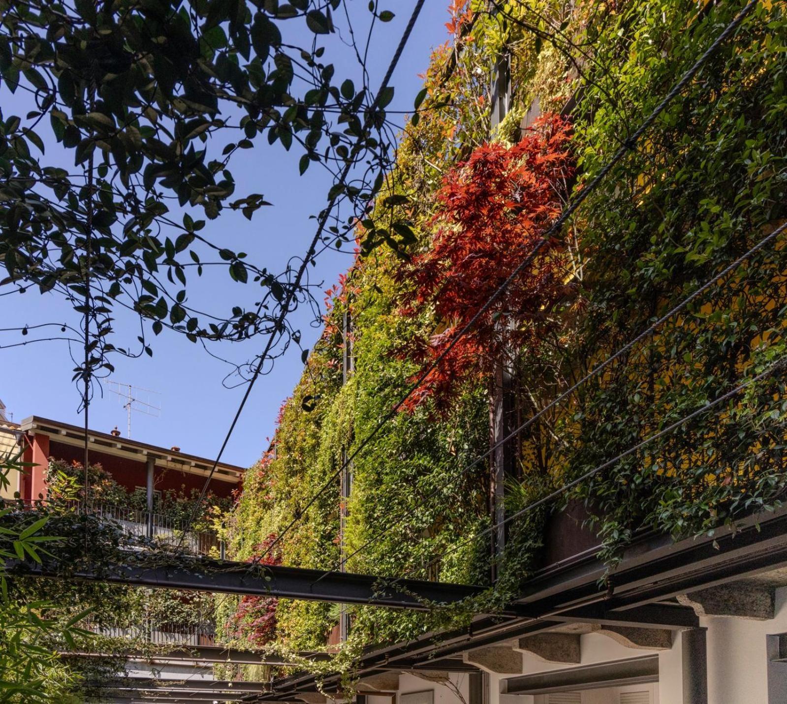 Residence Casa Coppa Appartamento Maple オメーニャ エクステリア 写真